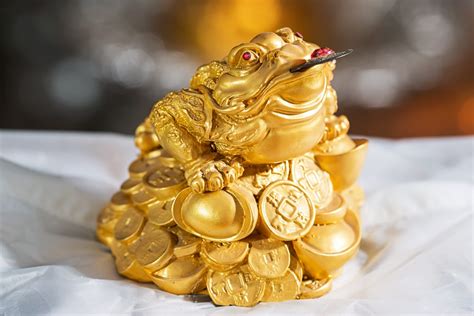 金錢蟾蜍|神獸供養方法：三腳金蟾篇(咬錢)